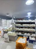 福建面坊出售